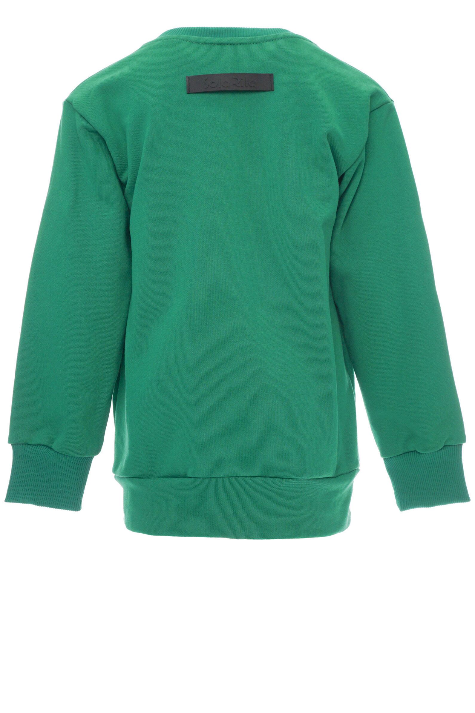 Свитшот дев. АРТ.SR220D800,зел,хл-эл